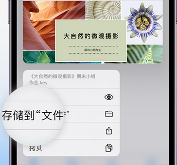 铅山apple维修中心分享iPhone文件应用中存储和找到下载文件