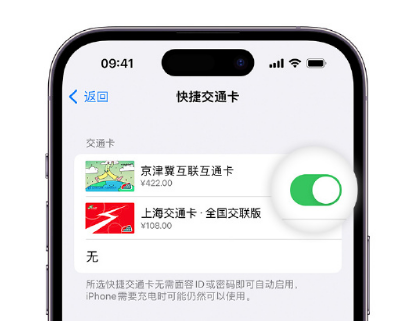 铅山apple维修点分享iPhone上更换Apple Pay快捷交通卡手绘卡面 