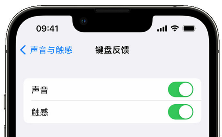 铅山苹果手机维修分享iPhone 14触感键盘使用方法 