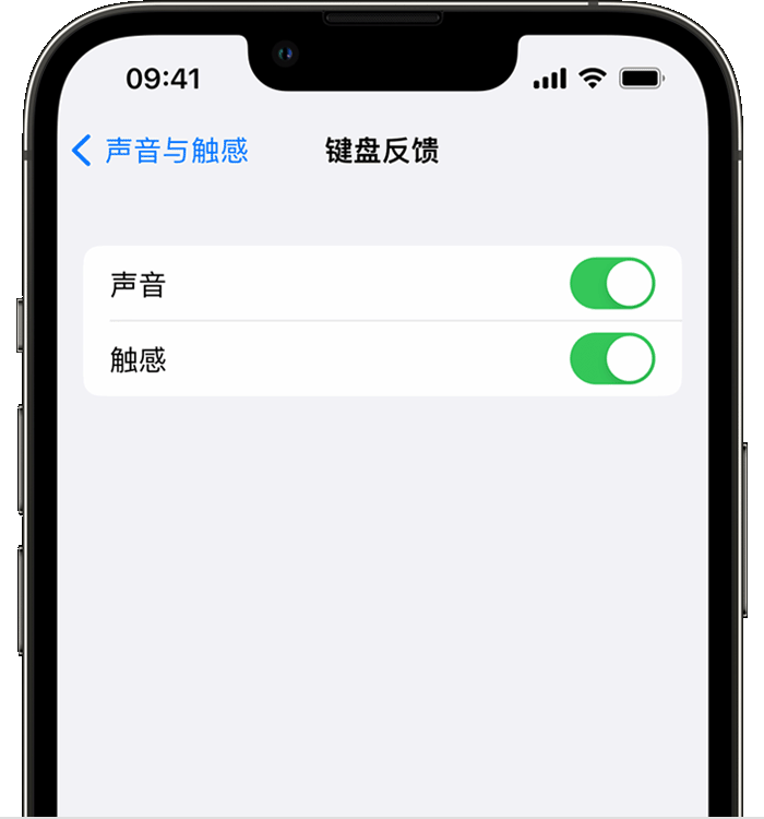 铅山苹果14维修店分享如何在 iPhone 14 机型中使用触感键盘 