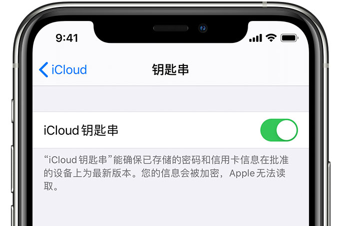 铅山苹果手机维修分享在 iPhone 上开启 iCloud 钥匙串之后会储存哪些信息 