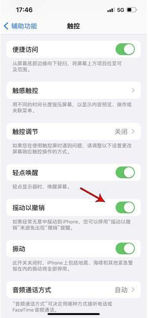 铅山苹果手机维修分享iPhone手机如何设置摇一摇删除文字 